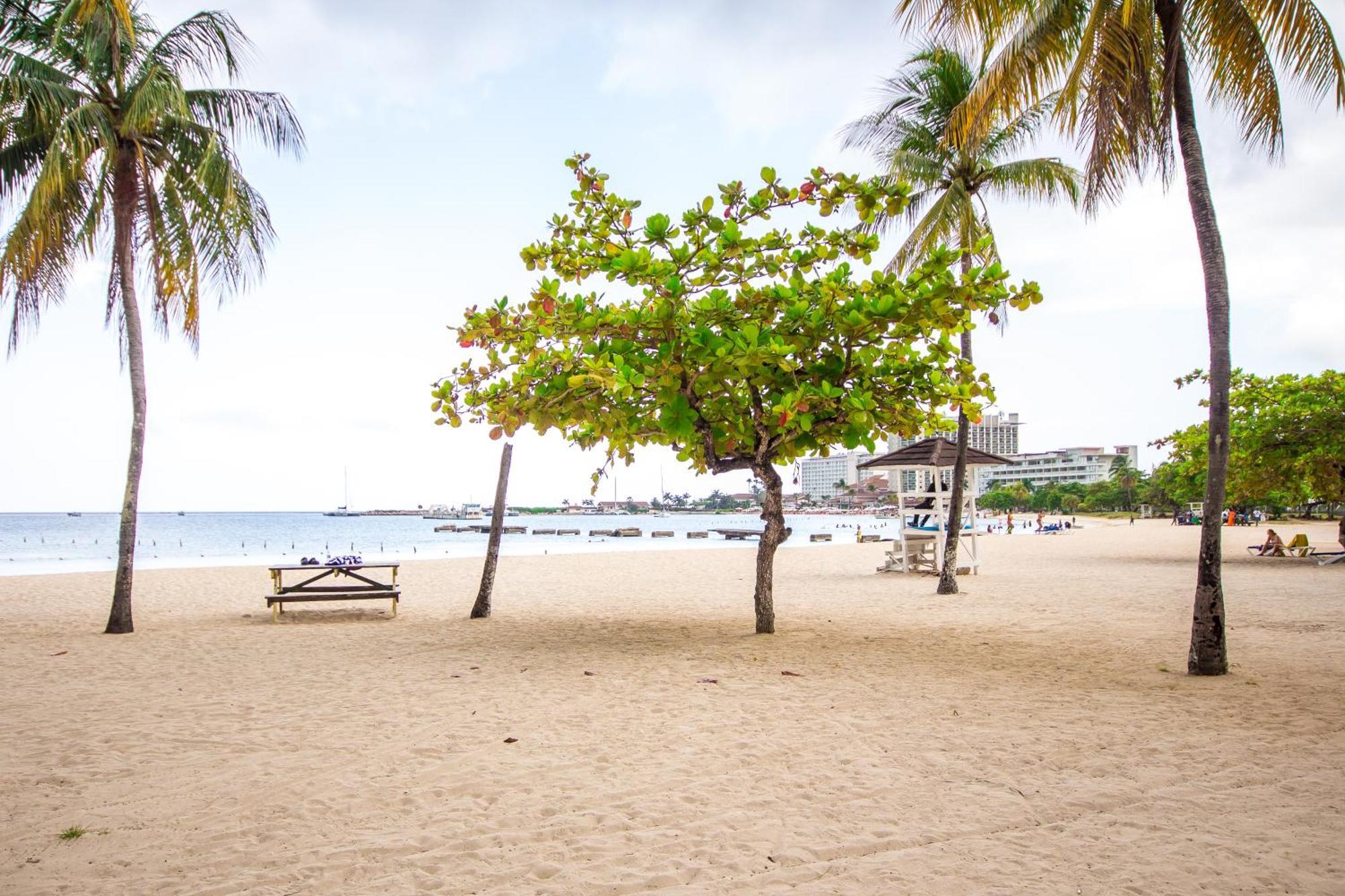 Malia Dreamers Paradise Ocho Rios Luaran gambar